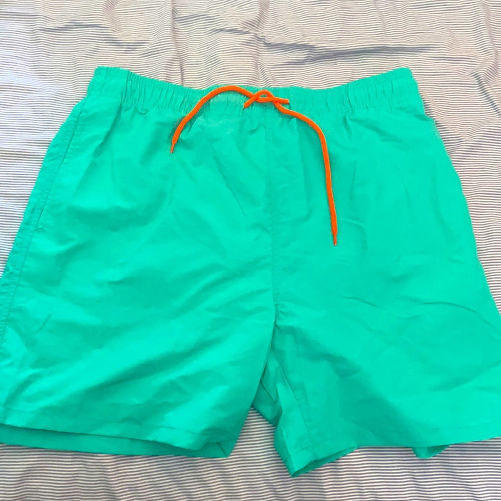 BRAND NEW Teal swim trunks (Size Large US)